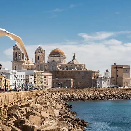 Living By Livework شقة كاديز