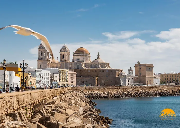 Living By Livework 아파트 카디스